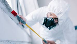 Best Fumigation Services  in Highland Lakes, NJ